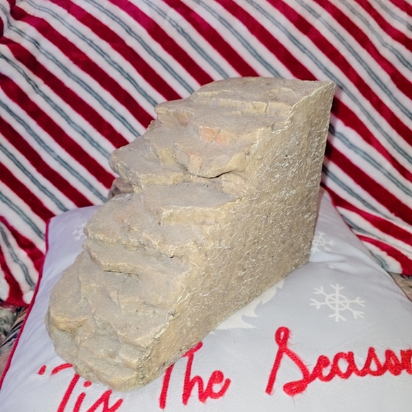 Bearded dragon climbing den - Picture 2 of 5